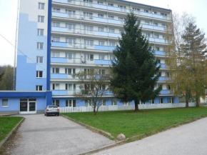 Отель Apartmá Ježková  Врхлаби